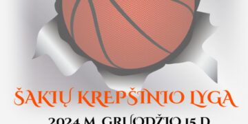 Šakių krepšinio lyga