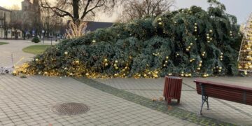 Grinčas bando pavogti Kalėdas Vilkaviškyje: dėl stipraus vėjo nugriuvo miesto Kalėdų eglė