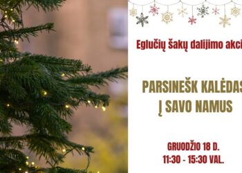 Parnešk Kalėdas į savo namus“ – šiandien Marijampolėje vyks eglučių šakų dalijimo akcija