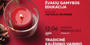 Kalėdinės MKC edukacijos