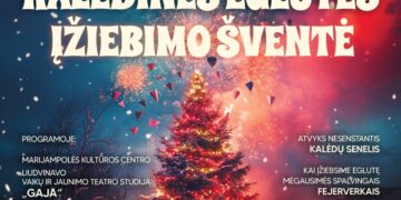 Kalėdinės eglutės įžiebimo šventė Liudvinave