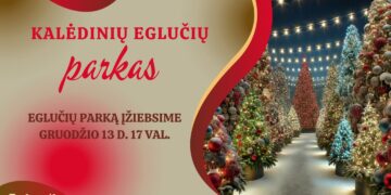 Kalėdinių eglučių alėjos atidarymas