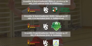 MSC krepšinis. Gruodžio vidurys 2024