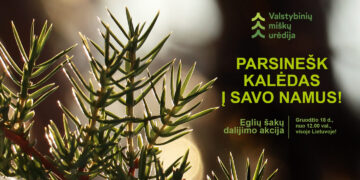 PARSINEŠK KALĖDAS Į SAVO NAMUS