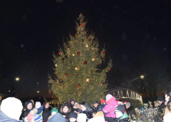 Pilviškiuose suspindo Kalėdų eglutė