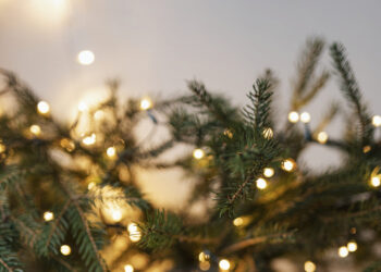 Kalėdinės eglės papuošimai