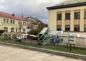 Marijampolėje fiksuoti vieni stipriausių vėjo gūsių Lietuvoje, siekę net iki 29 m/s