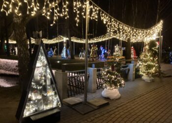 Kalėdinių eglučių alėjoje Marijampolėje sužibo net 151 eglutė