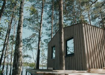 Skydiniai namai – istorija ir populiarumo priežastys šiandien