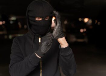 Ar tikrai signalizacija atbaido vagis?