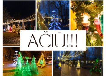 Kalėdinių eglučių parko kūrėjams - savivaldybės padėka