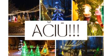 Kalėdinių eglučių parko kūrėjams - savivaldybės padėka