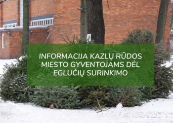 Kazlų Rūdoje bus surenkamos Kalėdinės eglutės