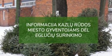 Kazlų Rūdoje bus surenkamos Kalėdinės eglutės