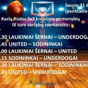 Kazlų Rūdos 3×3 krepšinio pirmenybės. IX turas