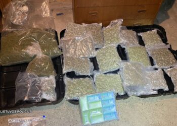 Bus teisiama narkotikų prekyba Lietuvoje užsiėmusi organizuota grupė