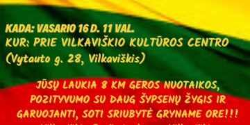 Žygis, skirtas Vasario 16 d. paminėti