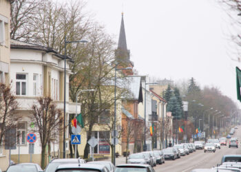 Valstybinių švenčių metu - pagarba istorijai ir Valstybės simboliams