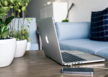 Kaip augalai gali pakeisti namų atmosferą?