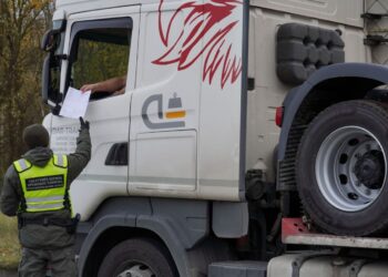 Pasieniečiai pričiupo tolimųjų reisų vairuotoju Lietuvoje dirbantį indą, kurio vairuotojo pažymėjimas – padirbtas