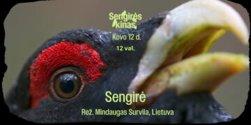 SENGIRĖS KINAS Kazlų Rūdos Jurgio Dovydaičio viešojoje bibliotekoje - „Sengirė“