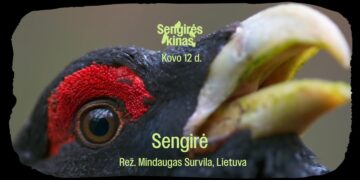 SENGIRĖS KINAS - Marijampolės Petro Kriaučiūno viešojoje bibliotekoje - „Sengirė“