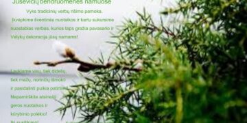 Edukacija „Verbų rišimas“