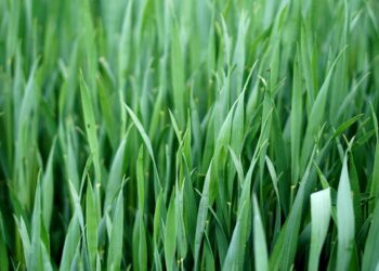 Kalnų dviračiai: nuo laisvalaikio iki ekstremalaus sporto – kaip išsirinkti?