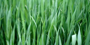 Kalnų dviračiai: nuo laisvalaikio iki ekstremalaus sporto – kaip išsirinkti?