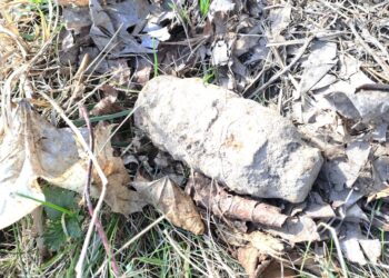 Pasienyje su Rusija – pavojų gyvybei keliantis radinys