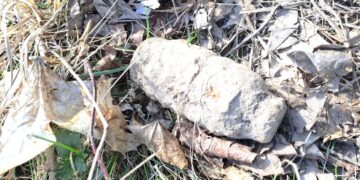 Pasienyje su Rusija – pavojų gyvybei keliantis radinys