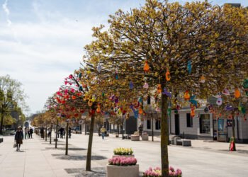 Šventinis stebuklas Marijampolėje: Velykų alėja kviečia pasigrožėti