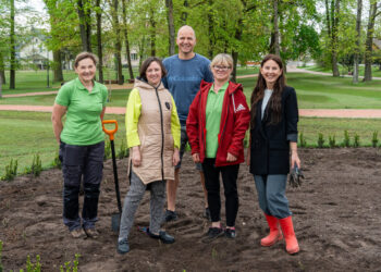Vytauto Didžiojo parke atgimė dar vienas rožynas