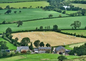 Prasidėjo pasėlių deklaravimas