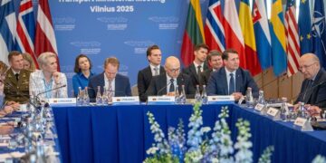 Lietuva identifikavo per 20 karinio mobilumo projektų už 4 mlrd. eurų