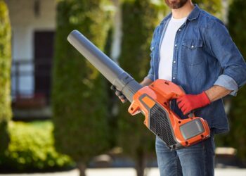 Lapų pūtiklis – ne tik rudeninis pagalbininkas