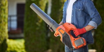 Lapų pūtiklis – ne tik rudeninis pagalbininkas