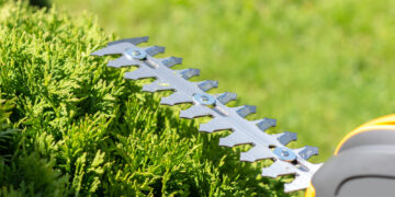 Kadastriniai matavimai: kokius dokumentus reikia pateikti prieš jų atlikimą?