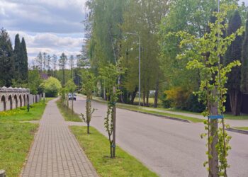 Kazlų Rūda žaliuoja toliau - pasodinta šimtai augalų