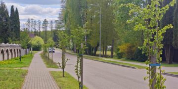 Kazlų Rūda žaliuoja toliau - pasodinta šimtai augalų