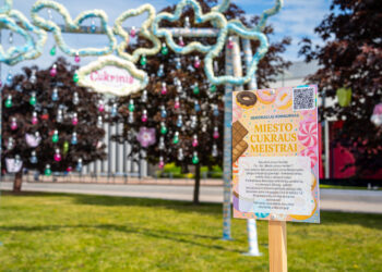 Prasideda konkurso „MIESTO CUKRAUS MEISTRAI“ balsavimas