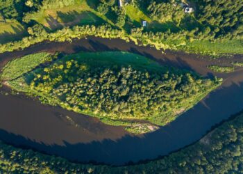 Pradedami istoriniai Nemuno tyrimai: jungiasi ir plaukikė Rūta Meilutytė