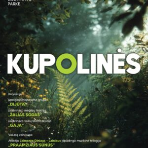 KUPOLINĖS