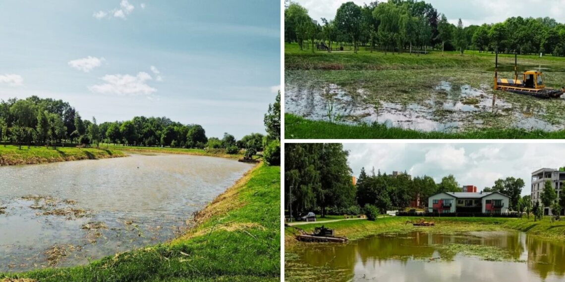 Prasidėjo vandens telkinių tvarkymo darbai Santarvės ir Pašešupio parkuose