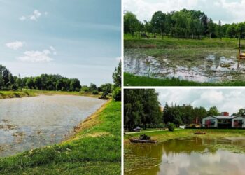 Prasidėjo vandens telkinių tvarkymo darbai Santarvės ir Pašešupio parkuose