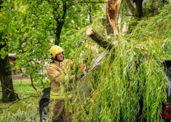 Visoje šalyje vėjas vertė medžius, ugniagesiai beveik 60 kartų vyko šalinti nuvirtusių medžių
