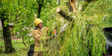 Visoje šalyje vėjas vertė medžius, ugniagesiai beveik 60 kartų vyko šalinti nuvirtusių medžių