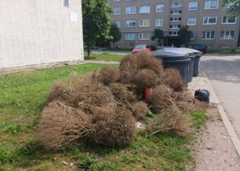 Nustatytas asmuo, netinkamai išmetęs žaliąsias atliekas