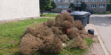 Nustatytas asmuo, netinkamai išmetęs žaliąsias atliekas