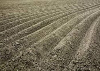 Strateginio plano įgyvendinimas: Stebėsenos komitetas siūlo pakeitimus